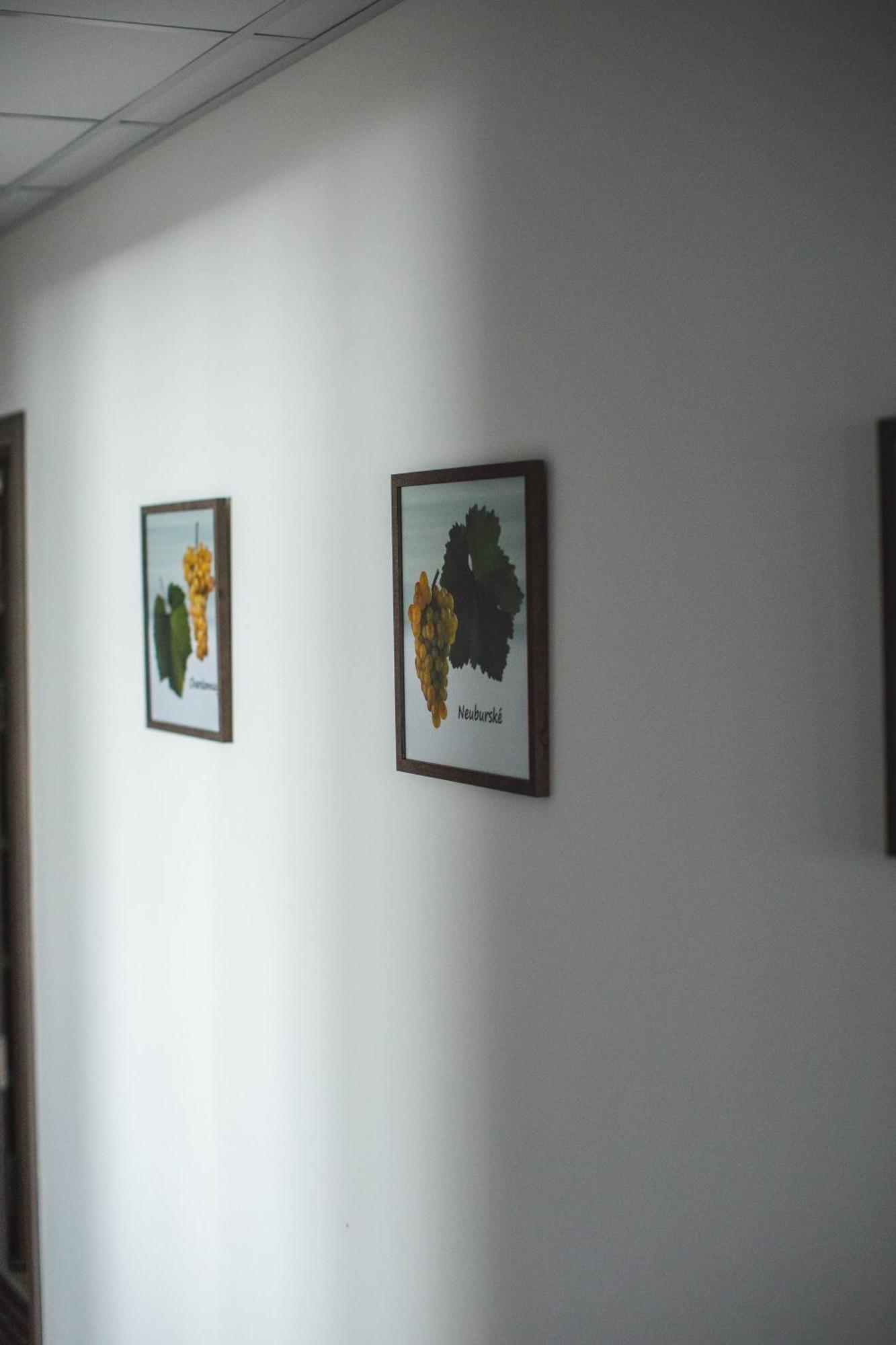 Apartmany Pemag Mikulov Exteriör bild
